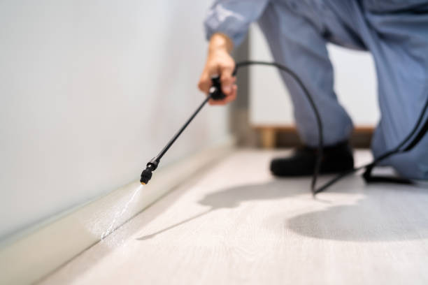 Licensed Pest Control service in Derby, CT - Show Me Pest Control